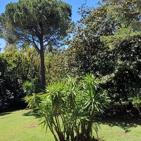 Serie , Beau 2 Pieces 50 M2 Terrasse A 12 Min Plages Et Palais Apartment *